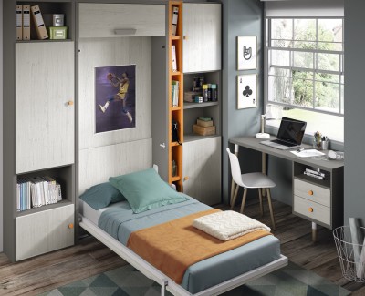 Bedroom comprised of wall bed, desk and shelves